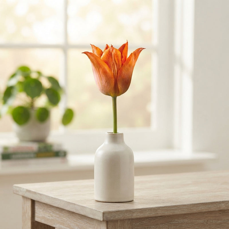 Tulip ‘Triumph’ Flower Bulbs – 12/+ Bulbs