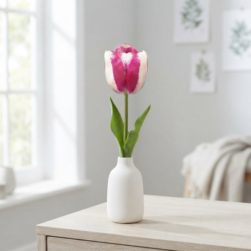 Tulip ‘Hot Pants’ Triumph Bulbs – 12/+