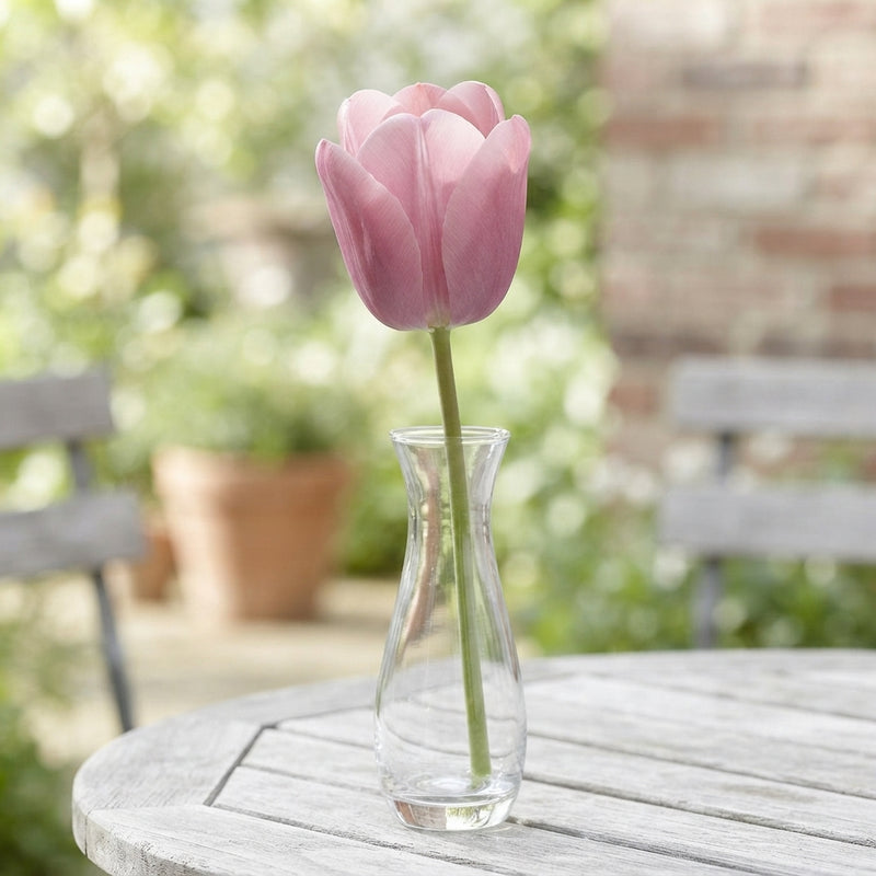 Tulipa ‘Garden Promise’ Tulip Bulbs – 12/+ Size