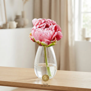 Double Late Tulip ‘Wedding Gift’ Bulbs – 7 Bulbs