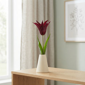 Tulipa ‘Lilyflowering Sarah Raven’ Flower Bulbs – 7 Pack