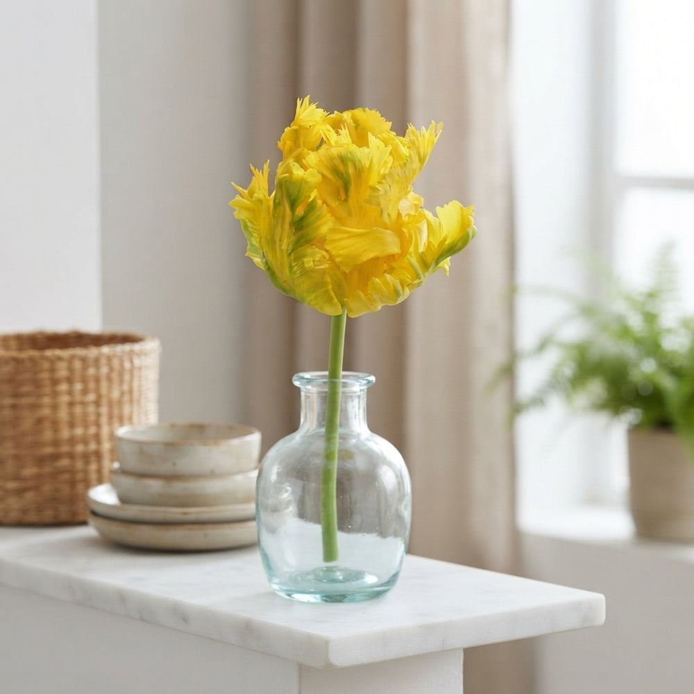 Tulip ‘Parrot Texas Gold’ Bulbs – 12/+