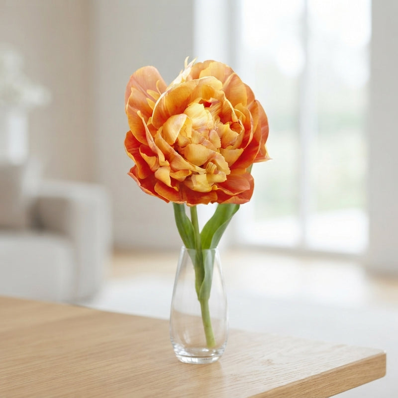 Tulipa Double Late ‘Valdivia’ Flower Bulbs – 7 Bulbs