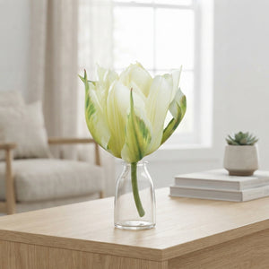 Exotic Emperor Fosteriana Tulip Bulbs – 7 Bulbs