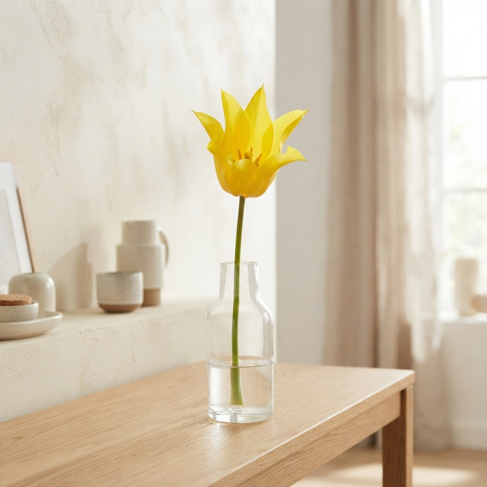 Lily-Flowering Tulip Bulbs ‘Schiedam’ – 12+