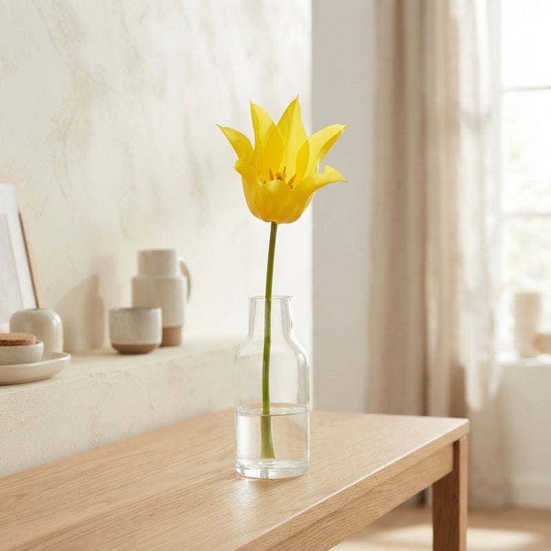 Lily-Flowering Tulip Bulbs ‘Schiedam’ – 12+