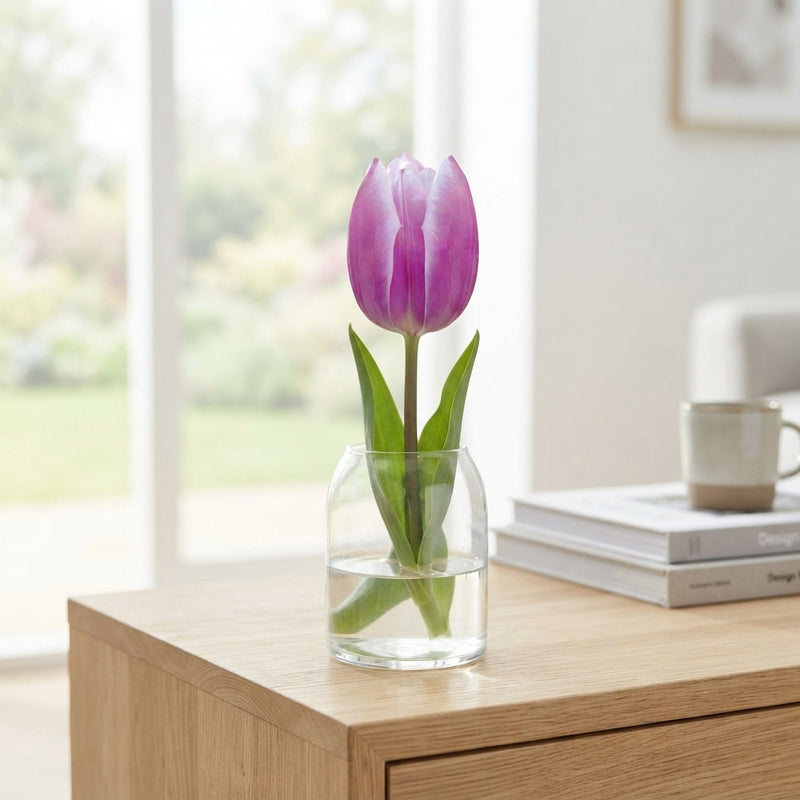 Tulipa Triumph ‘Synaeda Blue’ Flower Bulbs – 7 Bulbs