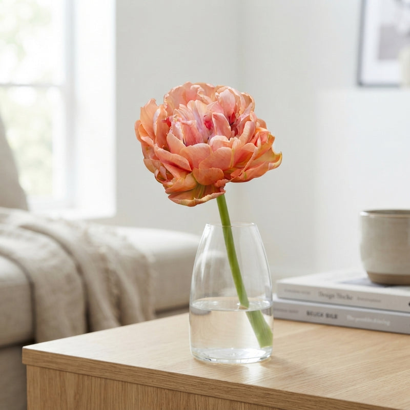Copper Image Double Late Tulip Bulbs – 7 Bulbs