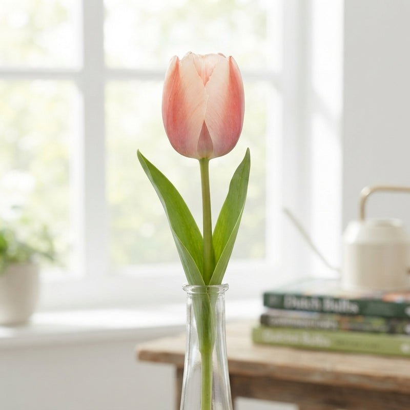 Tulip ‘Apricot Delight’ Flower Bulbs – 7 Bulbs
