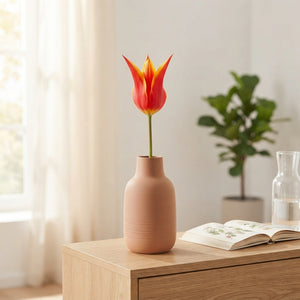 Tulipa Lily-Flowered ‘Fly Away’ Flower Bulbs – 12cm+