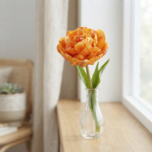 Tulip ‘Sunlover’ Double Late Flower Bulbs – 7 Bulbs
