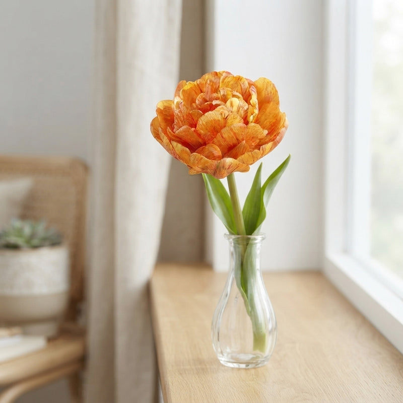 Tulip ‘Sunlover’ Double Late Flower Bulbs – 7 Bulbs