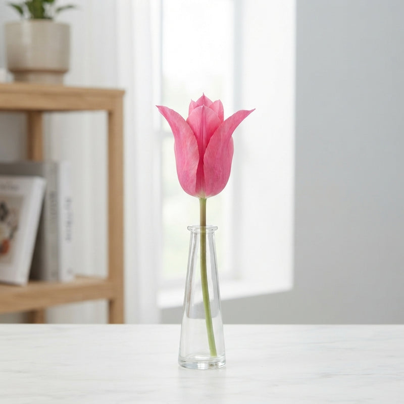Pretty Love Lily-Flowering Tulip Bulbs – 7 Bulbs