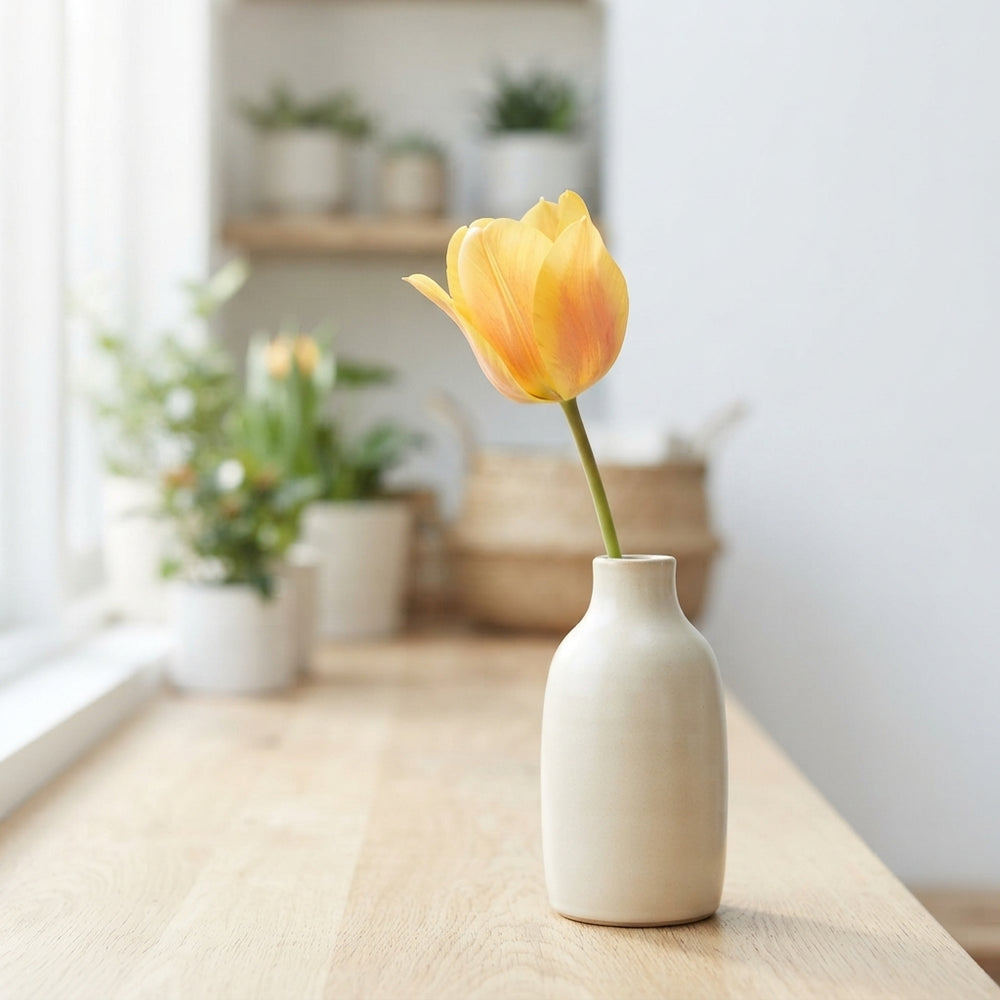 Tulipa Kaufmanniana ‘Buttercup’ Flower Bulbs – 7 Bulbs