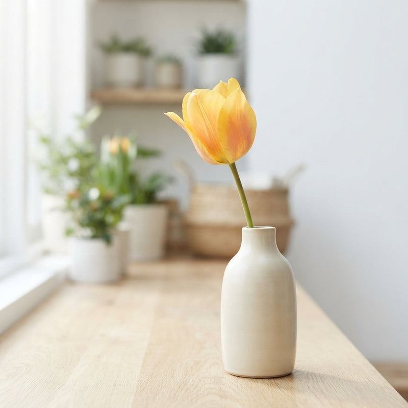 Tulipa Kaufmanniana ‘Buttercup’ Flower Bulbs – 7 Bulbs