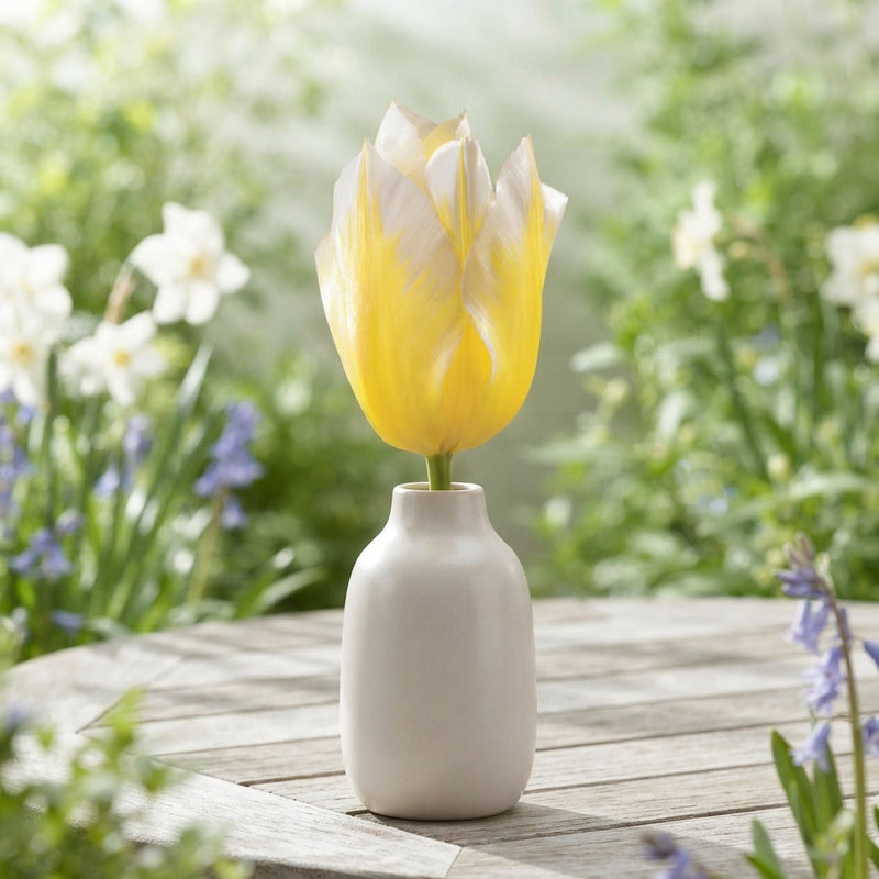 Tulipa Fosteriana ‘Sweetheart’ Tulip Bulbs – 12cm+