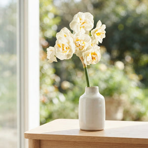 Narcissus ‘Bridal Crown’ Daffodil Bulbs