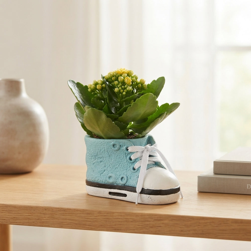 Indoor Flower Arrangement in Ceramic Pot – 13cm