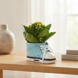 Indoor Flower Arrangement in Ceramic Pot – 13cm