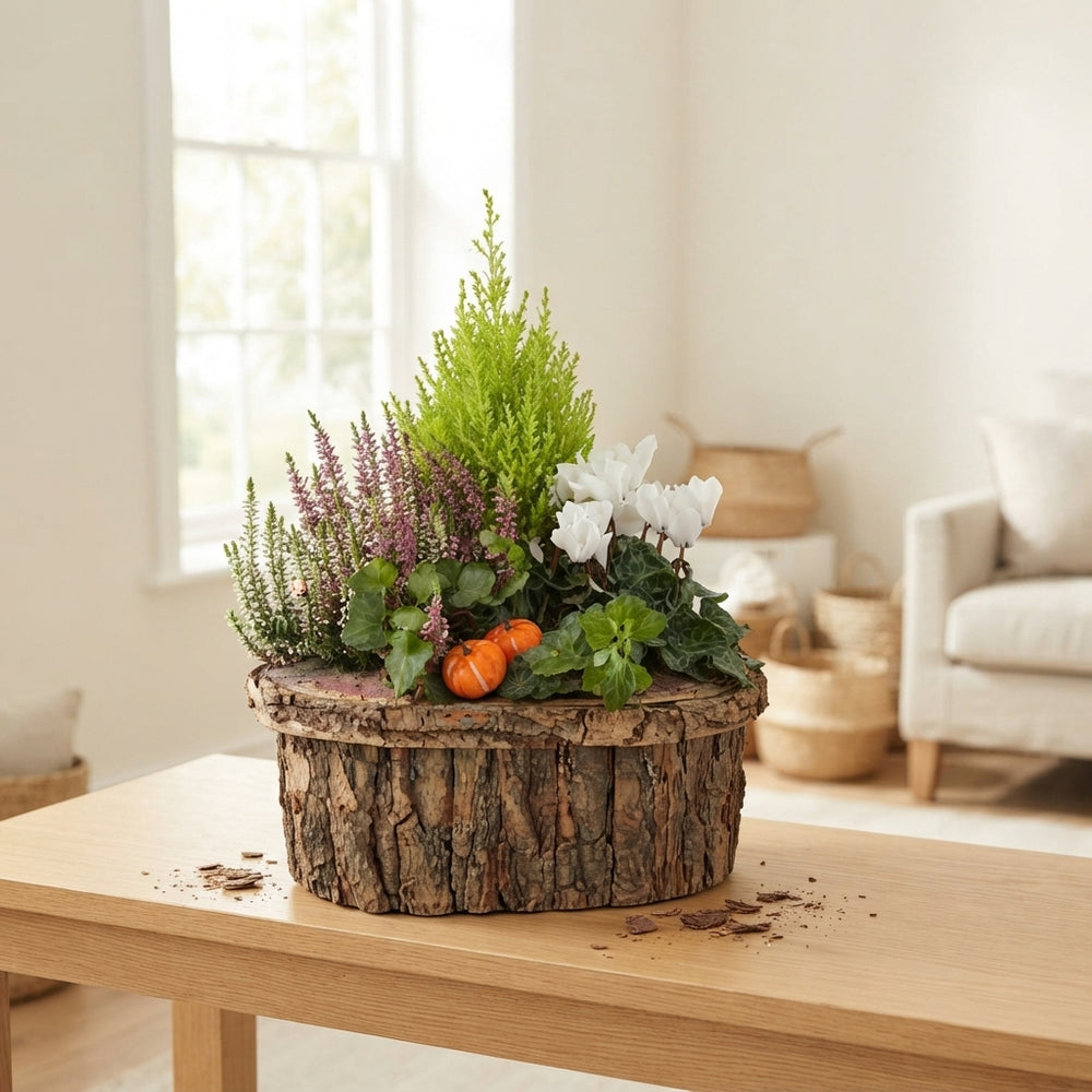 Oval Mixed-Colour Bark Arrangement