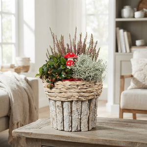 Garden Plant Arrangement – 22cm Wooden Pot
