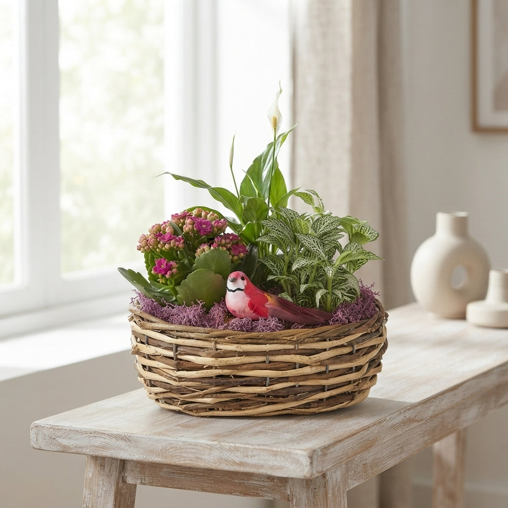 Mixed Colour Oval Plant Arrangement