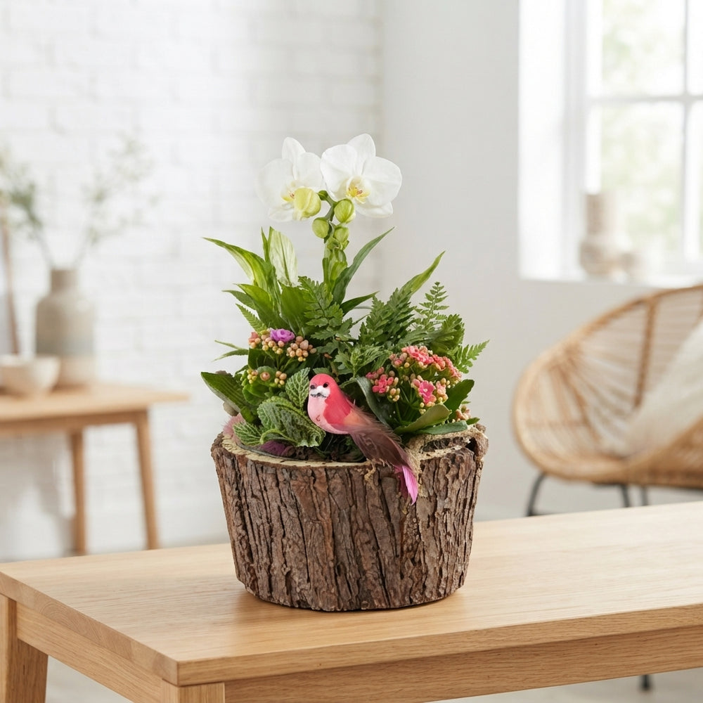 Mixed Colour Arranged Bark Display – 2 Piece Set