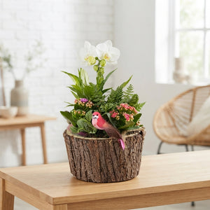 Mixed Colour Arranged Bark Display – 2 Piece Set