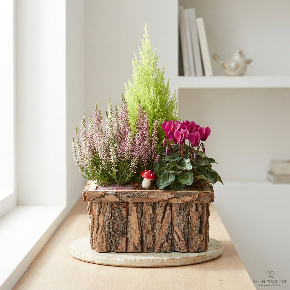 Mixed Colour Bark Arrangement