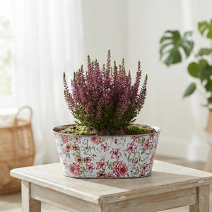 Mixed Flower Arrangement in Oval Zinc Planter