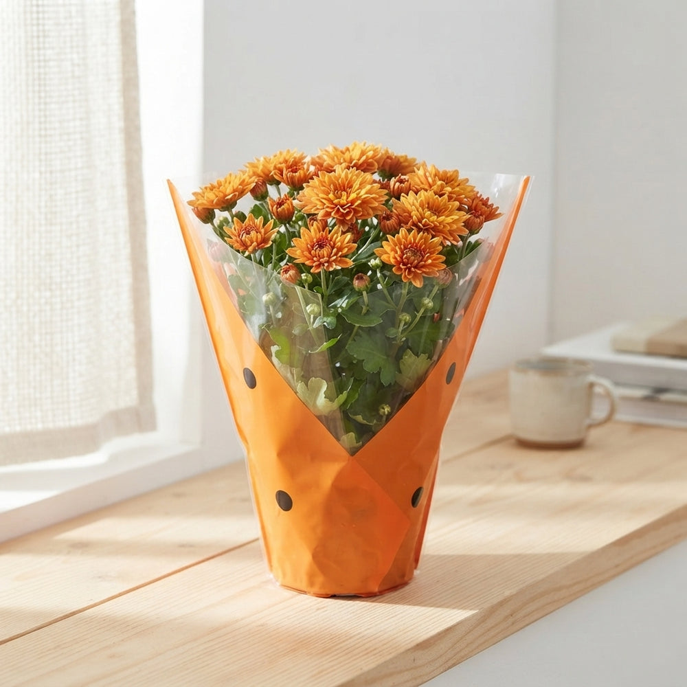 Mixed Chrysanthemum Houseplant (Indicum Grp) – 9cm Pot