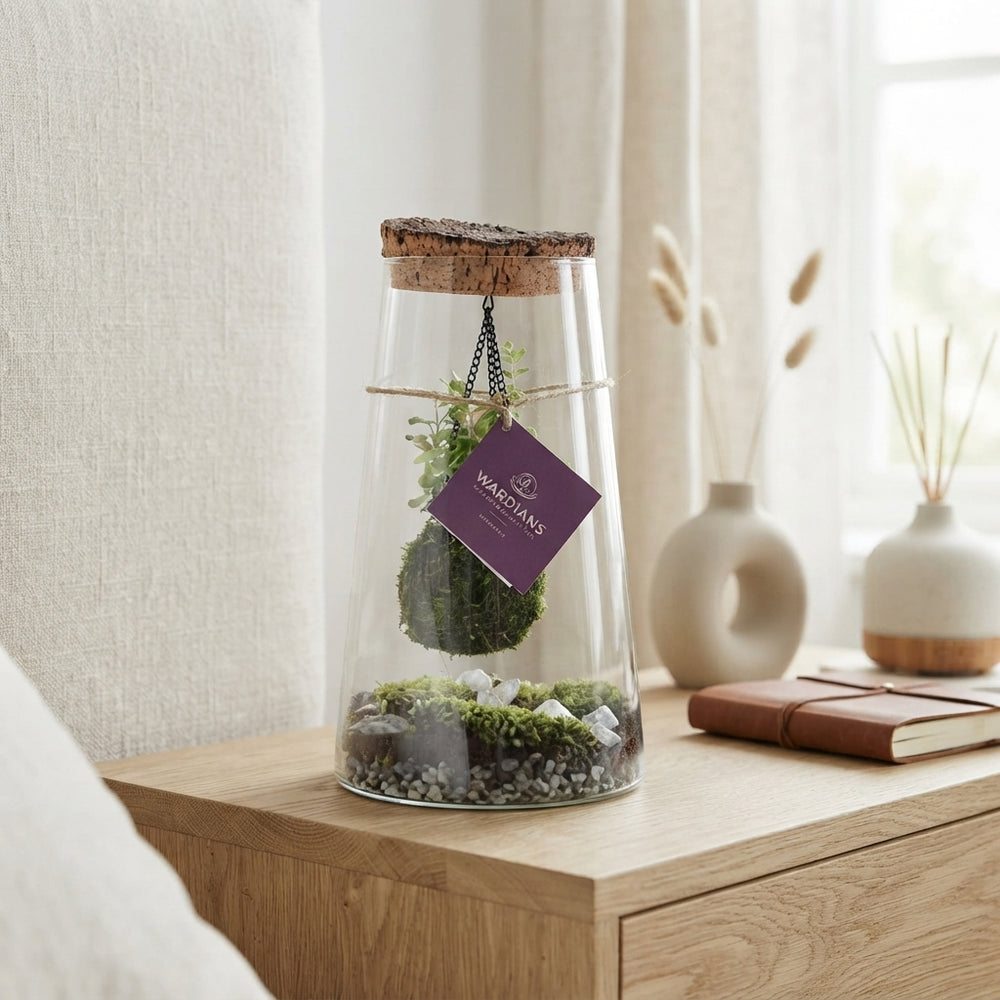 Kokedarium Triton Terrarium – 17cm Glass Bowl