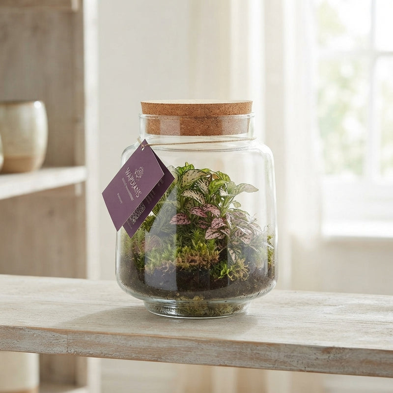 Mercurius Medium Glass Terrarium Arrangement – 16cm