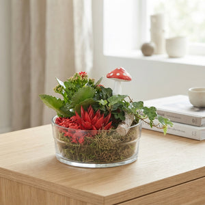 Orange and Red Plant Arrangement in Glass Bowl – 18cm