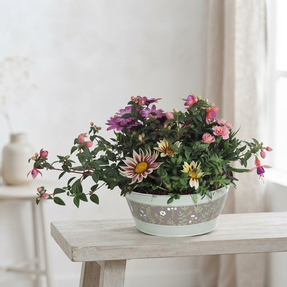 Oval Zinc Plant Arrangement – 25cm