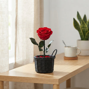 Preserved Red Roses with Handle – Pack of 5