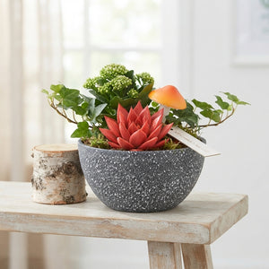 Sphere Arrangement in Ceramic Bowl – 18cm