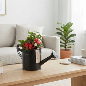 Indoor Plant Arrangement with Black Zinc Watering Can – 30cm