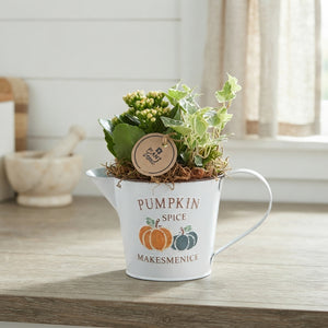 Pumpkin Spice Autumn Arrangement – 20cm Zinc Pot