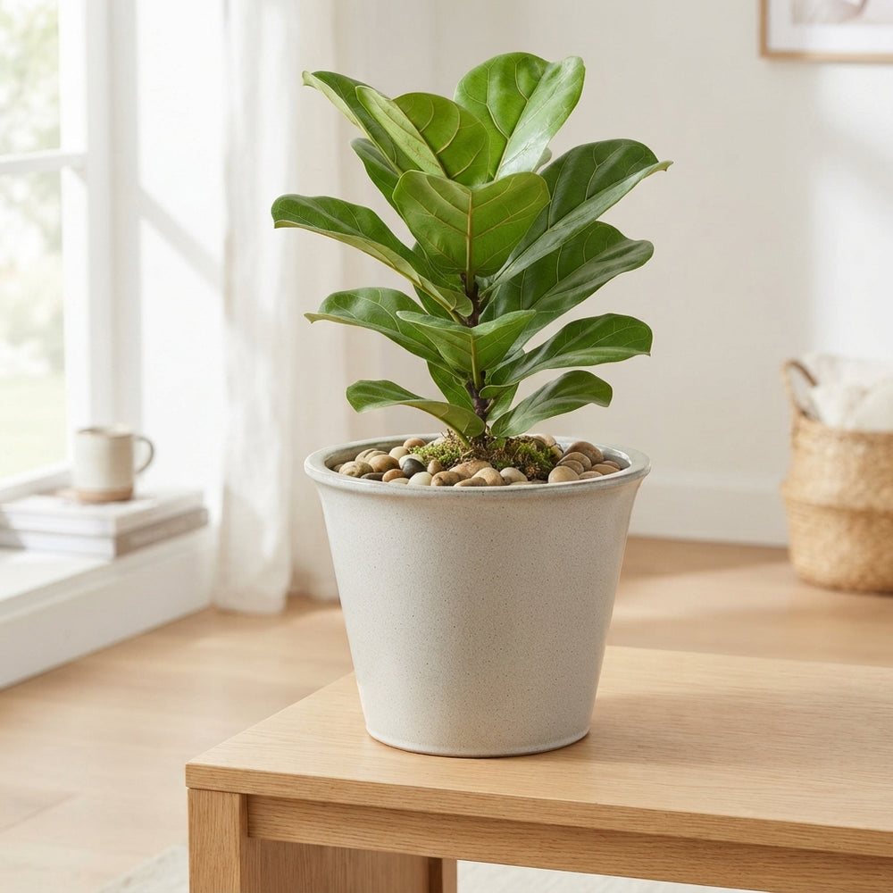 XL Frosted Glass Decorative Pot – 28cm