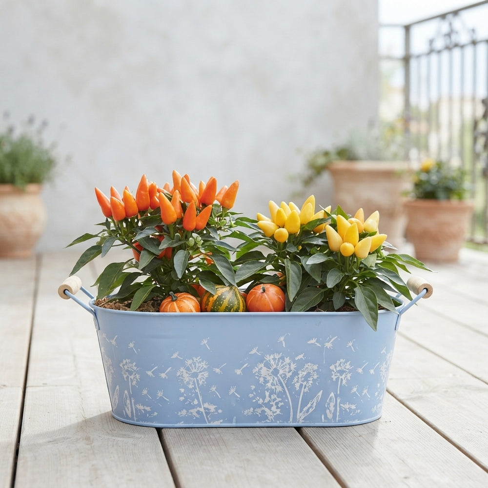 Mixed Floral Arrangement in Blue Oval Zinc Pot