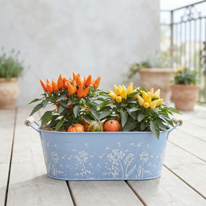 Mixed Floral Arrangement in Blue Oval Zinc Pot