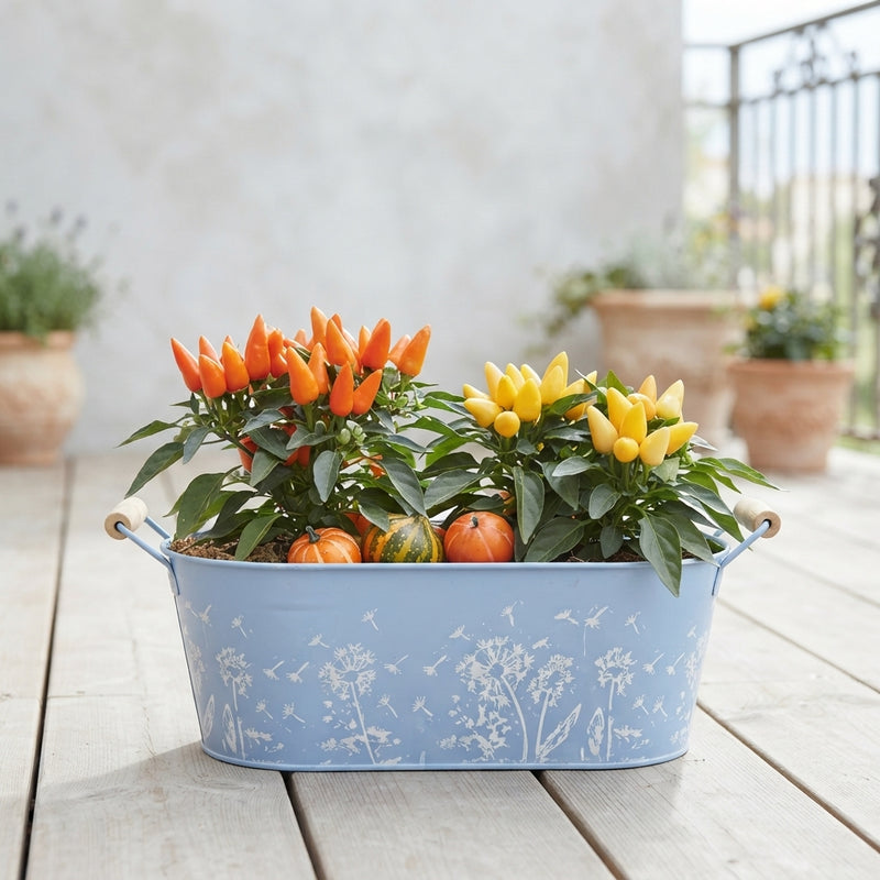 Mixed Floral Arrangement in Blue Oval Zinc Pot