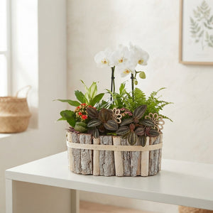 Mixed Colour Oval Beechwood Arrangement