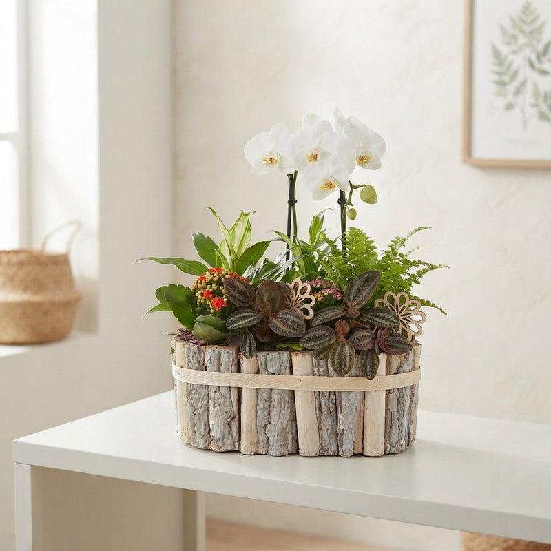 Mixed Colour Oval Beechwood Arrangement