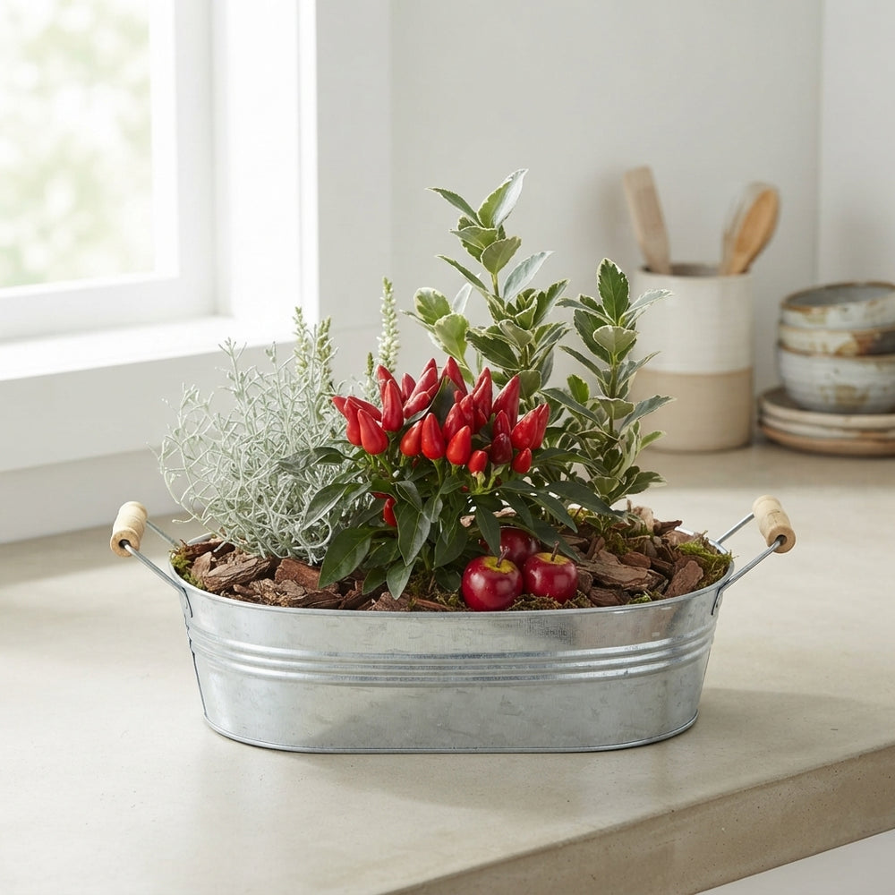 Mixed Colour Arrangement in Oval Zinc Pot