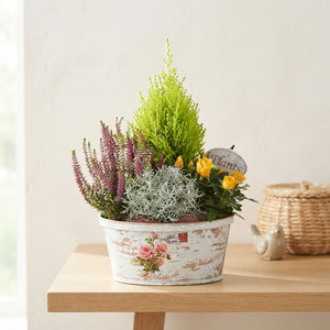 Mixed Colour Playwood Rose Arrangement