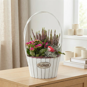 Mixed Flower Hanging Basket Arrangement