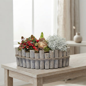 Amaryllis Napoli Arrangement in Large Grey Boat Pot – 34cm