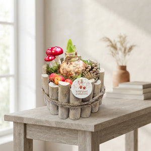Red Amaryllis Arrangement – 17cm Grey Wooden Pot